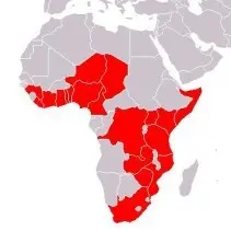 Cholera