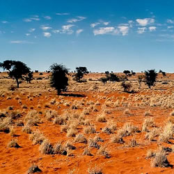 Klima Afrika