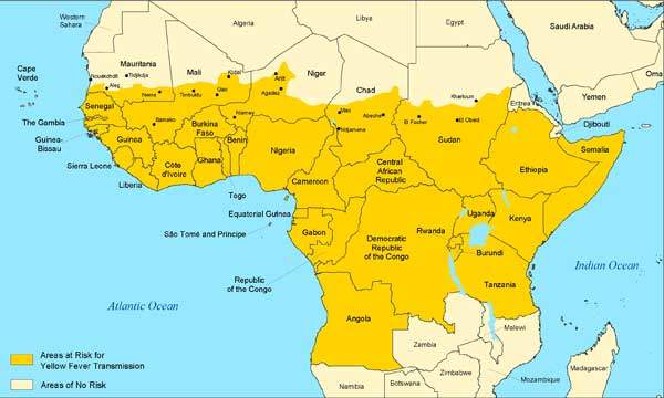Gelbfieber - Gesundheit in Afrika