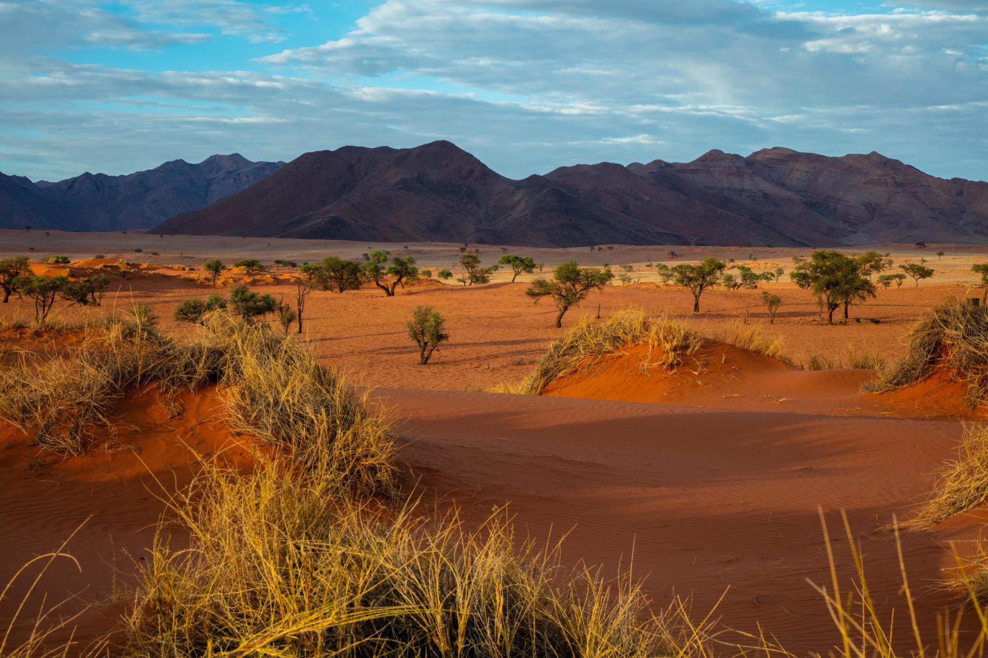 Namibia Homeland 2 - Reisebericht Namibia Afrika